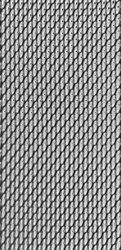 CAPRI watch strap (Grey, Silvery, 22/22, 110/70) - Picture 2