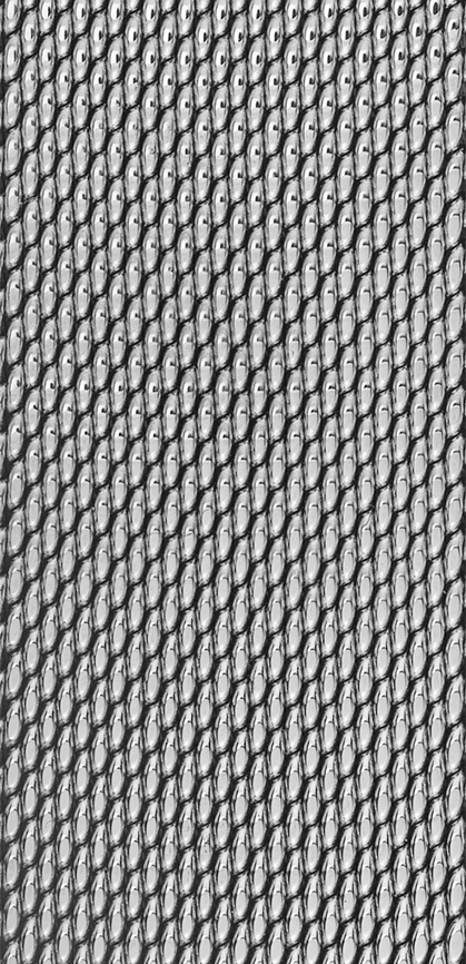 Bracelet montre CAPRI (Argenté, Argenté, 14/12, 110/70, Femme) - Photo 2