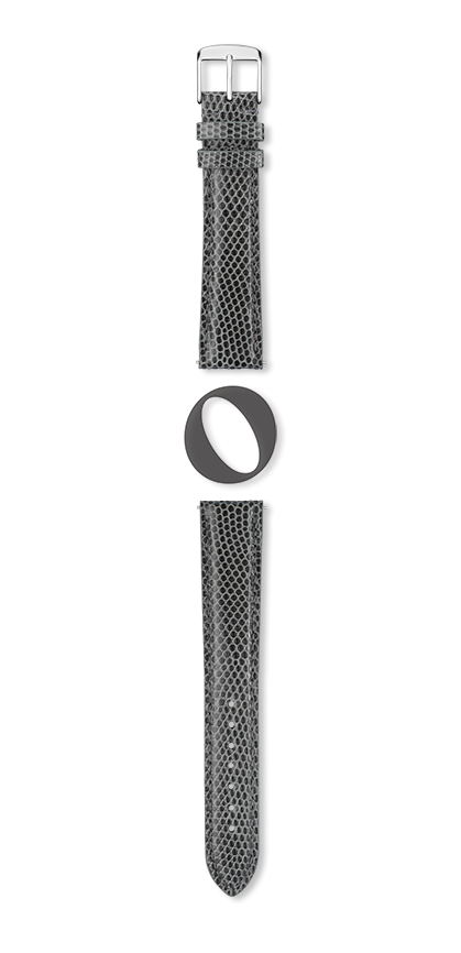 Bracelet montre DELPHES (Gris, Gris moyen, 12/10, 110/70, Femme) - Photo 2