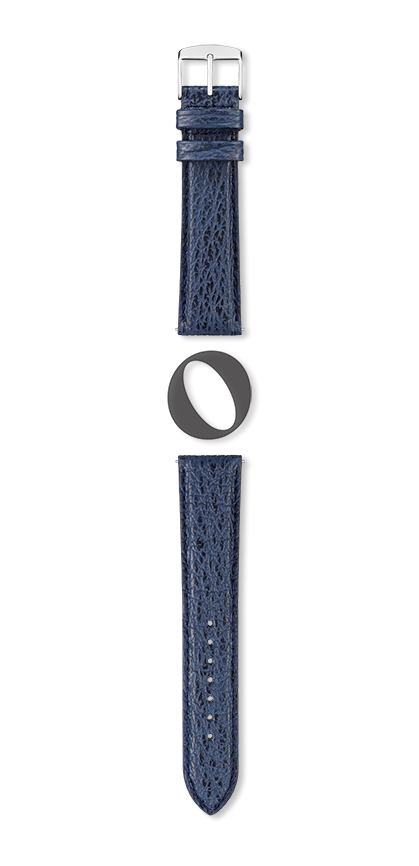 Bracelet montre MONTEREY (Bleu, Marine, 20/18, 115/80, Homme) - Photo 2