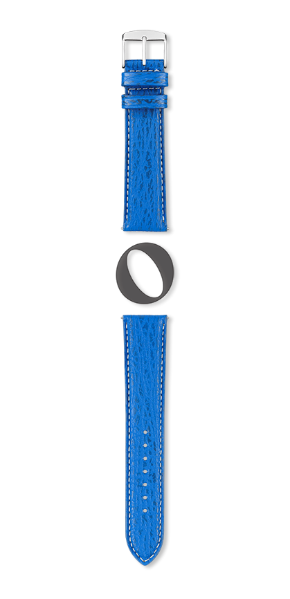 Bracelet montre MONTEREY (Bleu, Bleu roi, 20/18, 115/80, Homme) - Photo 2