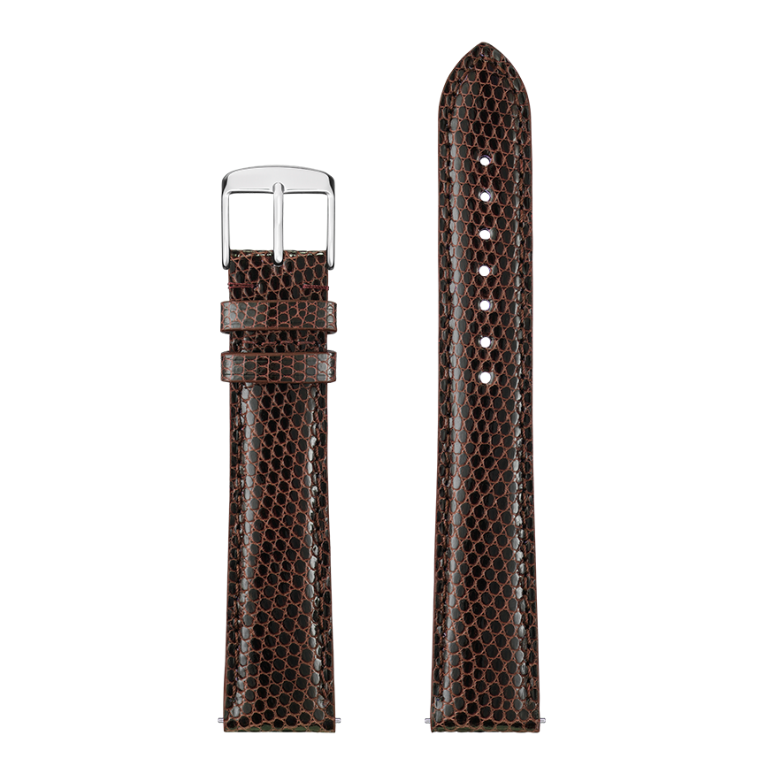 Bracelet montre DELPHES