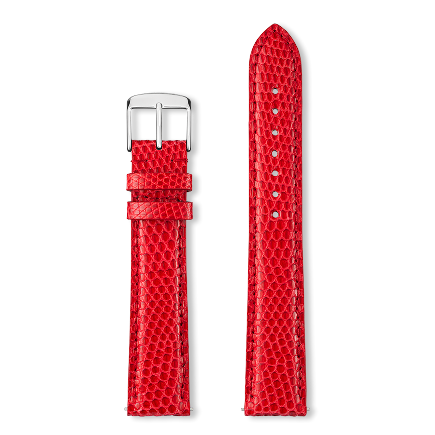Bracelet montre DELPHES
