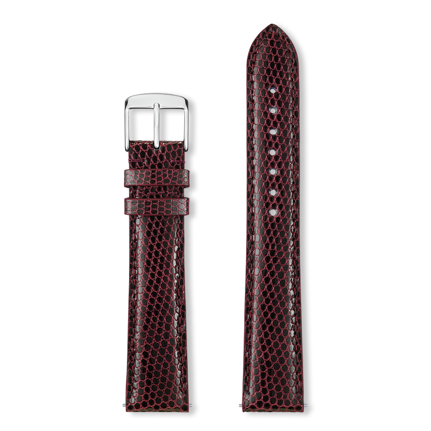 Bracelet montre DELPHES