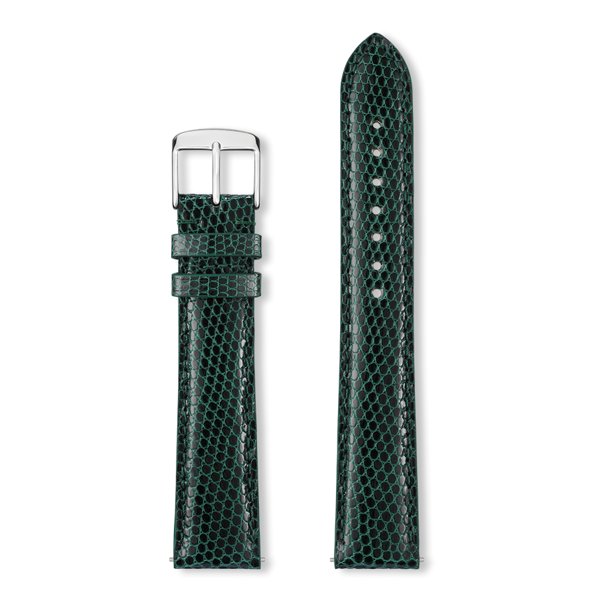 Bracelet montre DELPHES