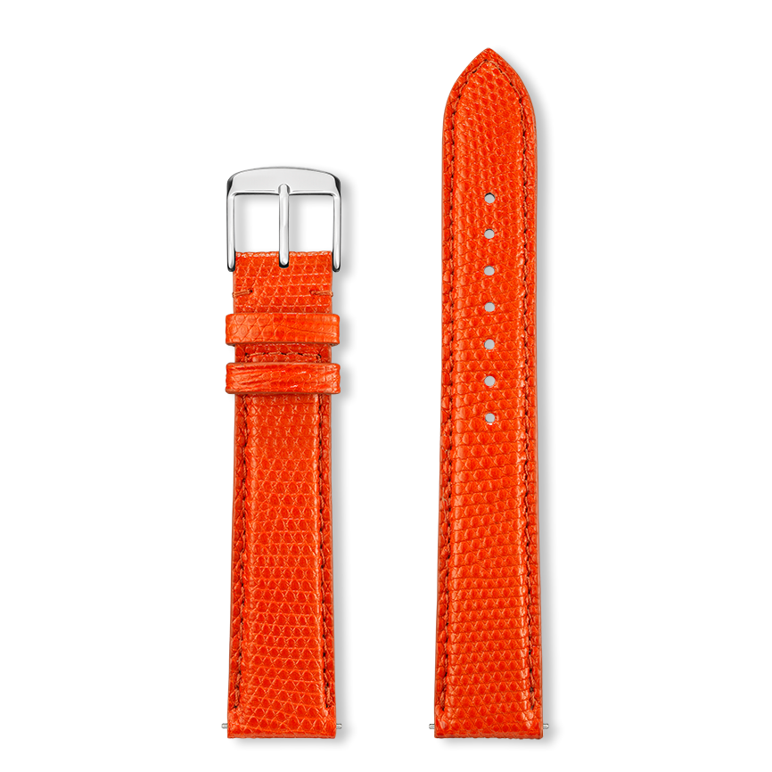 Bracelet montre DELPHES