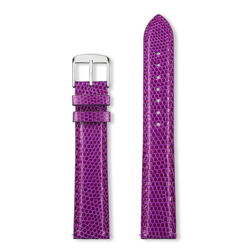 Bracelet montre DELPHES